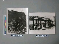 藏品(三蘇祠中之百坡亭)的圖片